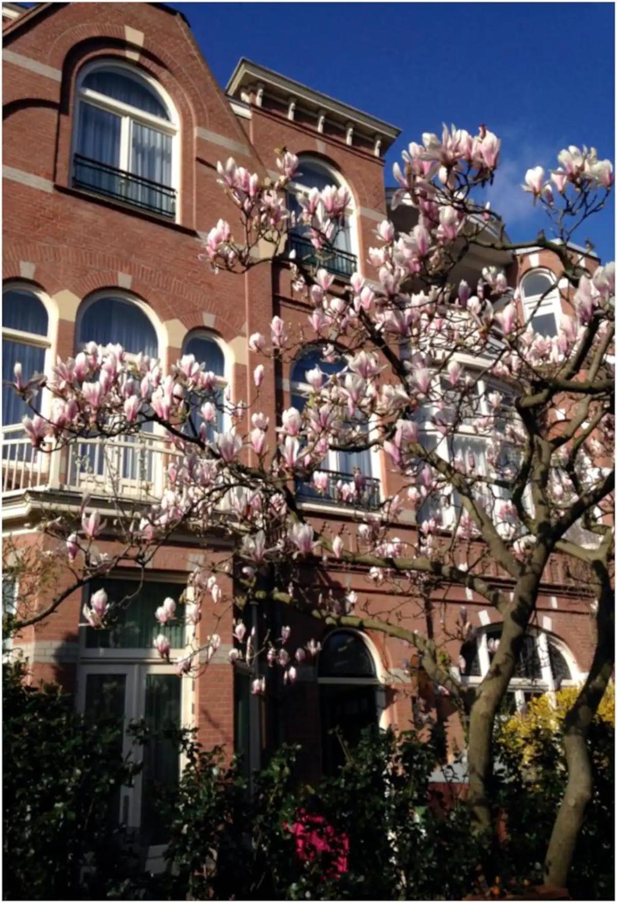 Apartment Flora's Palace - Scheveningen Den Haag