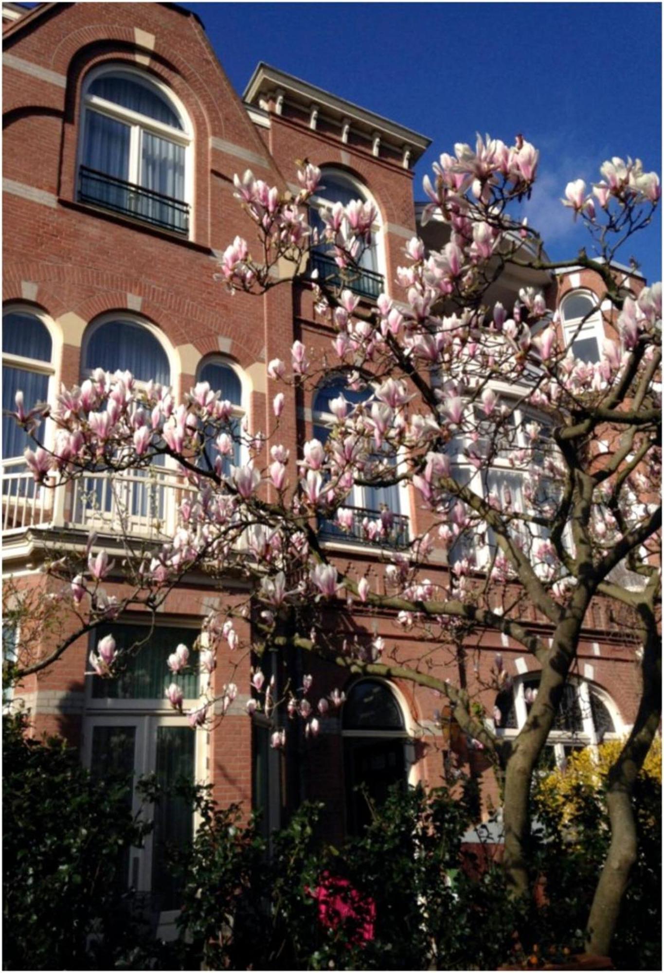 Flora's Palace - Scheveningen Apartment *