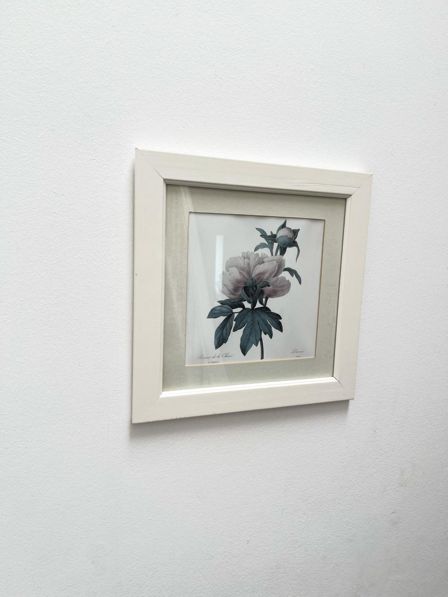 Flora's Palace - Scheveningen Den Haag